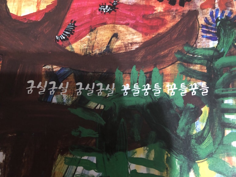 보림콜렉션 이미지