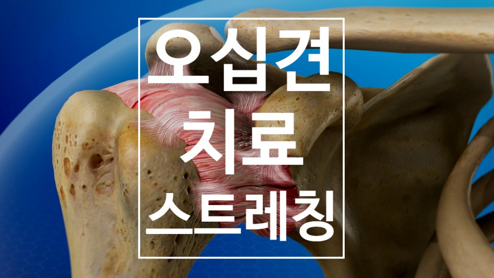 신당본한의원 이미지