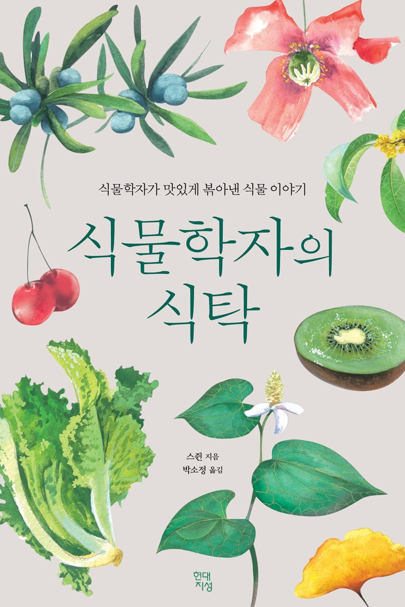 아르아르 이미지