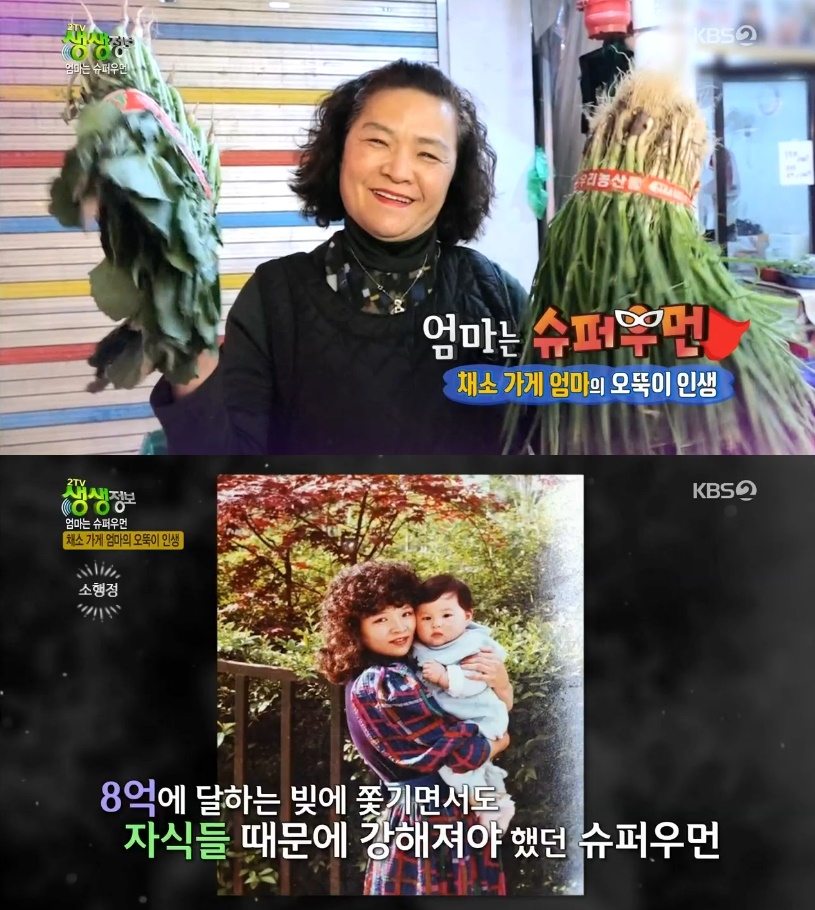 싱싱야채3 이미지