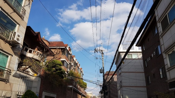 금화장 이미지
