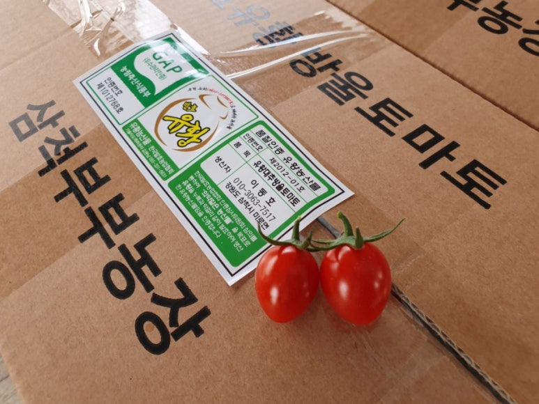 산아래토마토 이미지