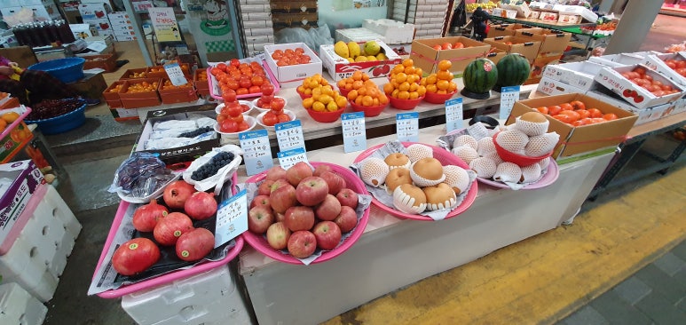 수경청과 이미지