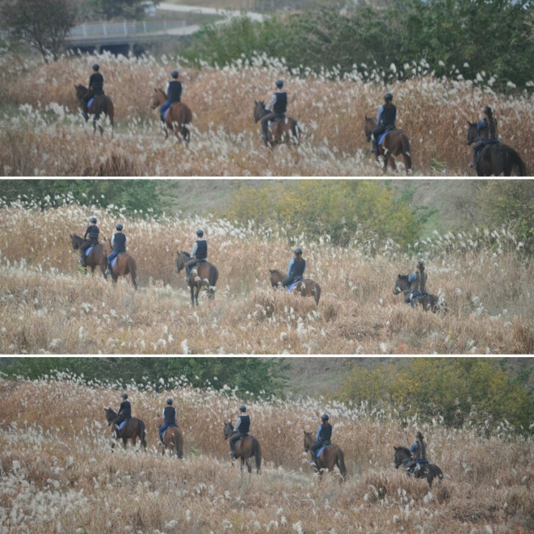 천지승마클럽 이미지