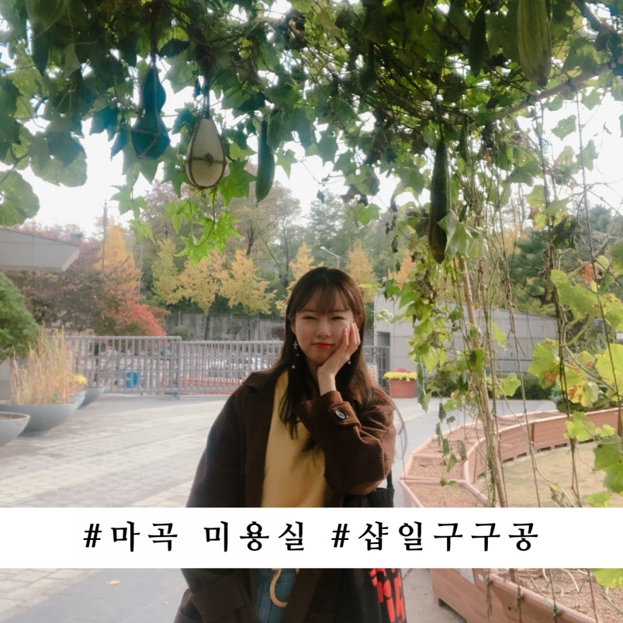 샵일구구공 이미지