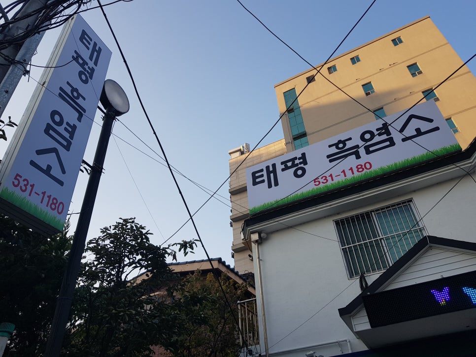 제일흑염소 이미지