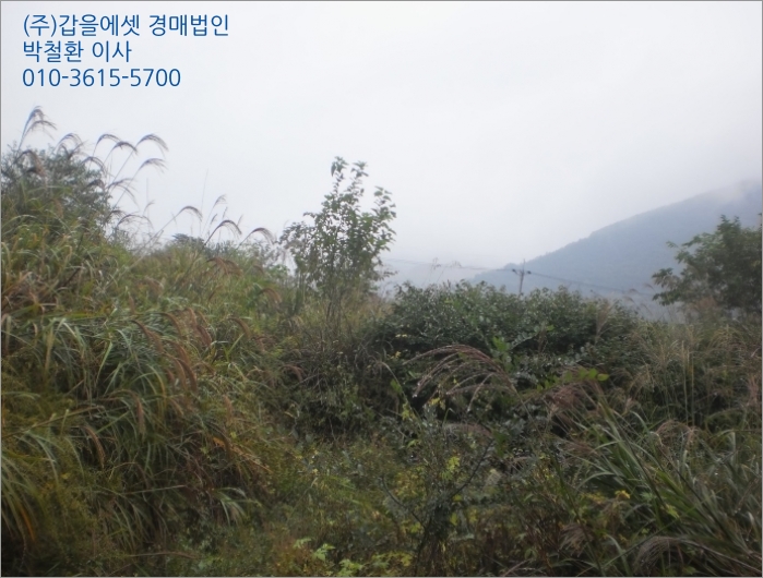 덕곡주유소 이미지