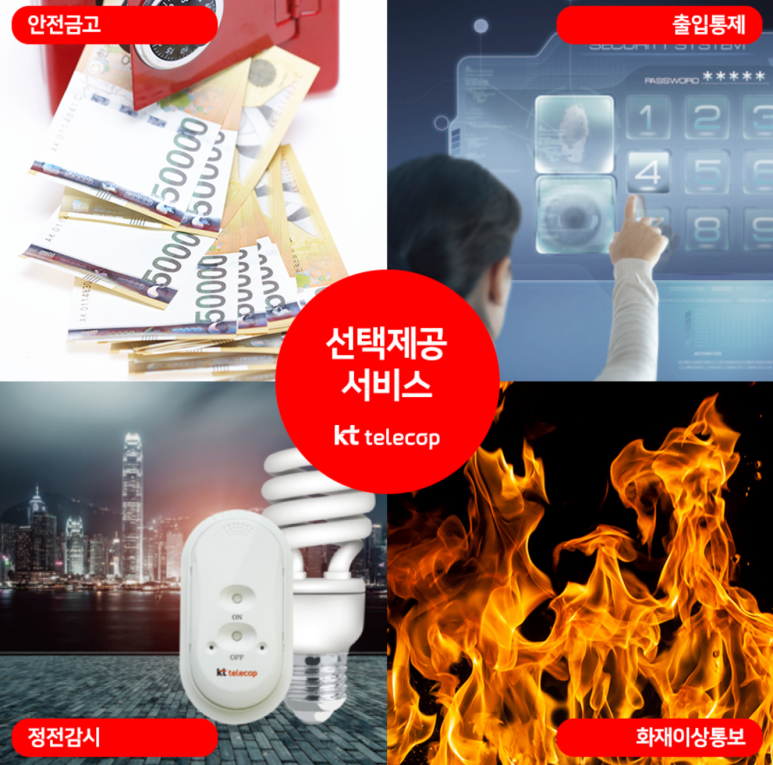 케이티안 이미지