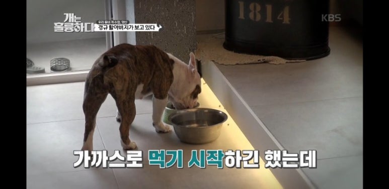 건축사사무소두림 이미지