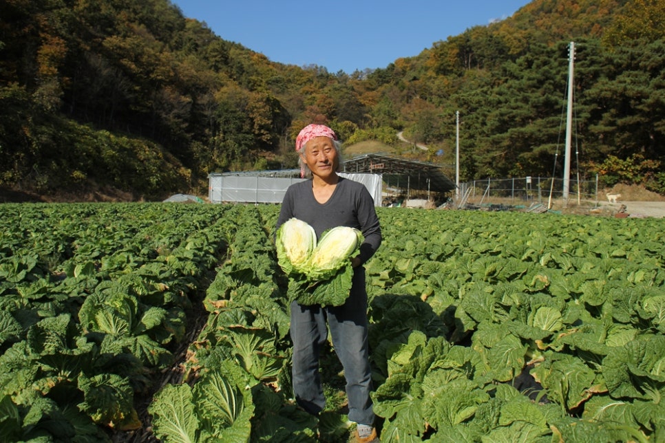 가나안농장 이미지