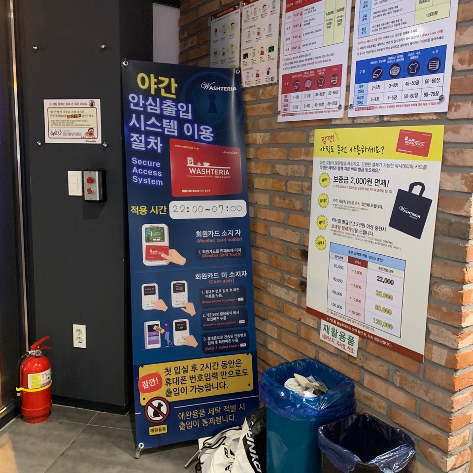 워시테리아전주 이미지
