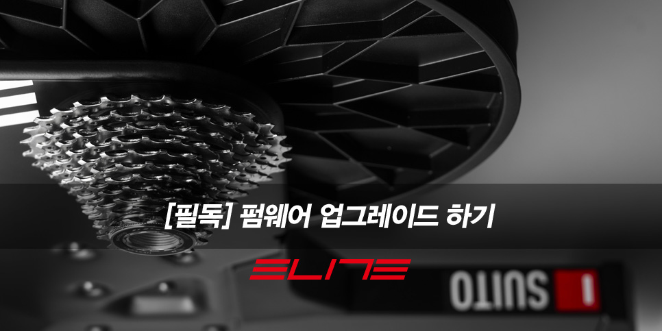 엘리트수 이미지