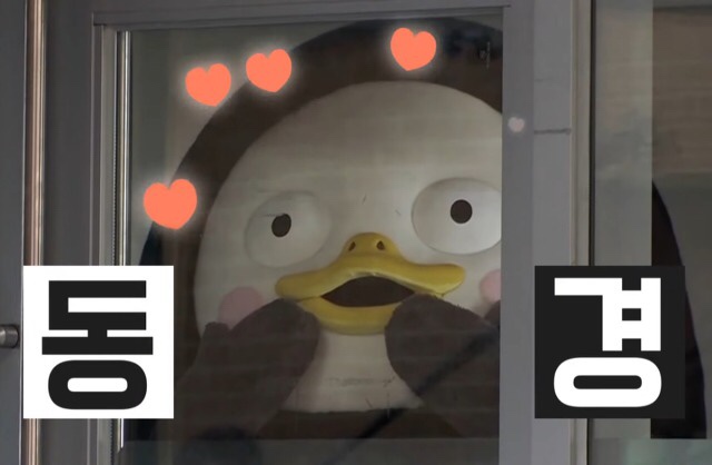 아이앤지(ing) 이미지