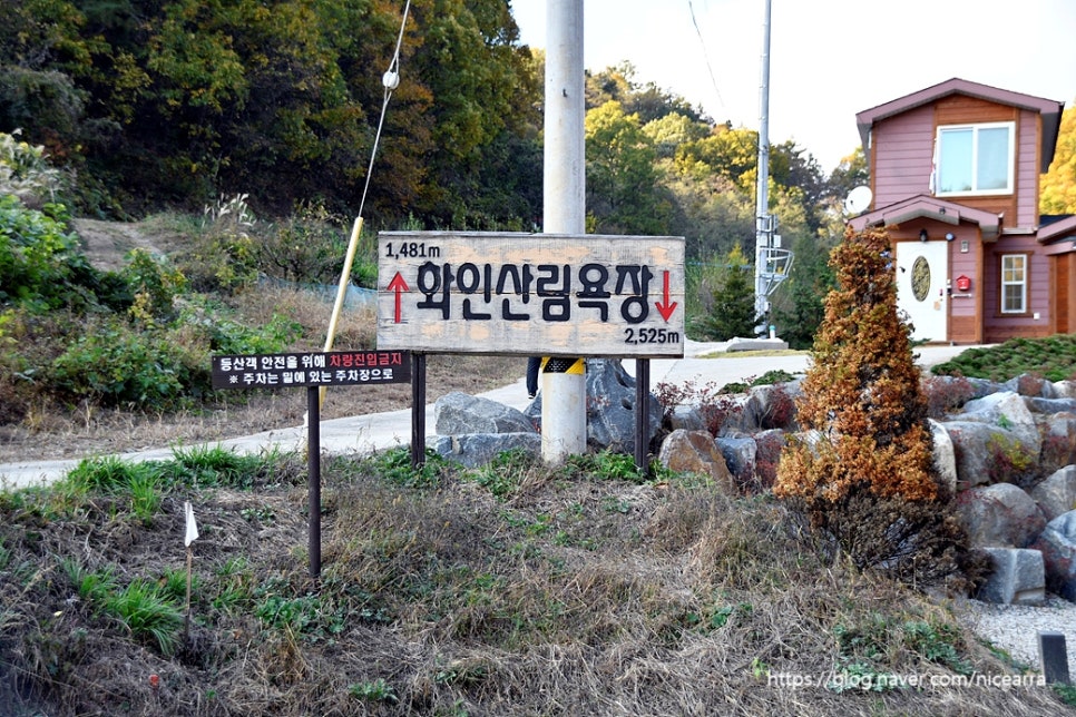 홍일상사 이미지