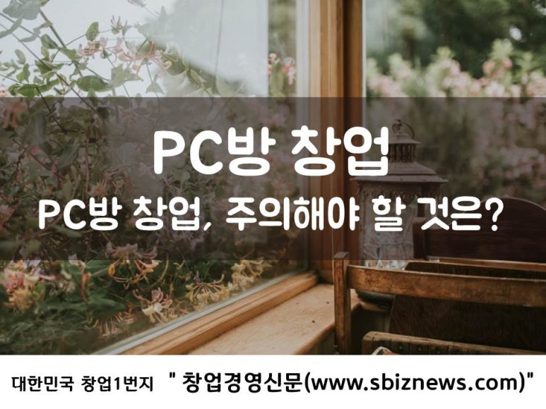 스타덤피씨 이미지