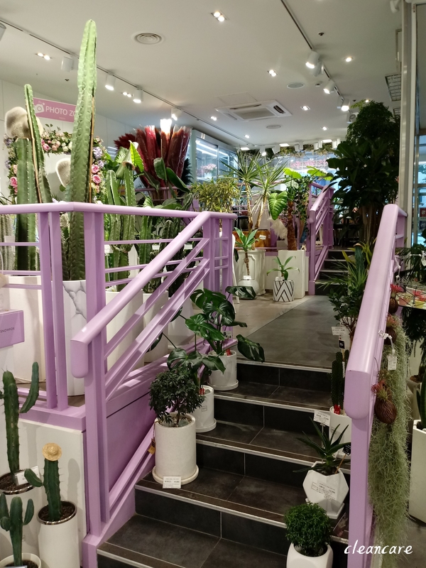 스노우폭스플라워강남 이미지