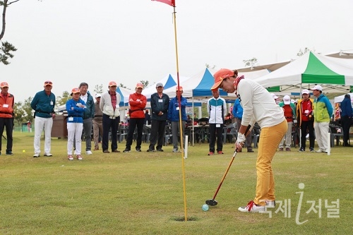국제파크골프용품 이미지