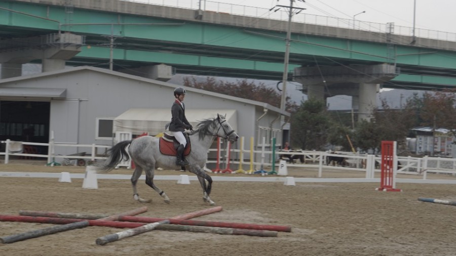 멜버른승마 이미지