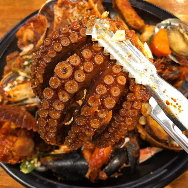 제주반딧불 이미지
