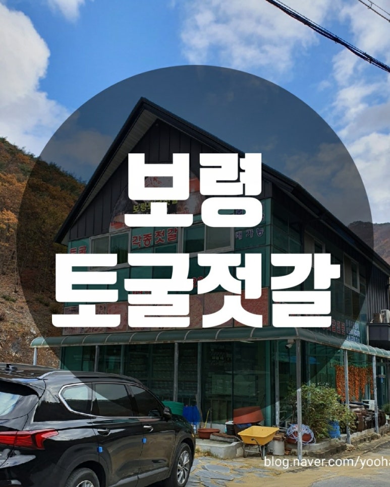 보령토굴젓갈 이미지