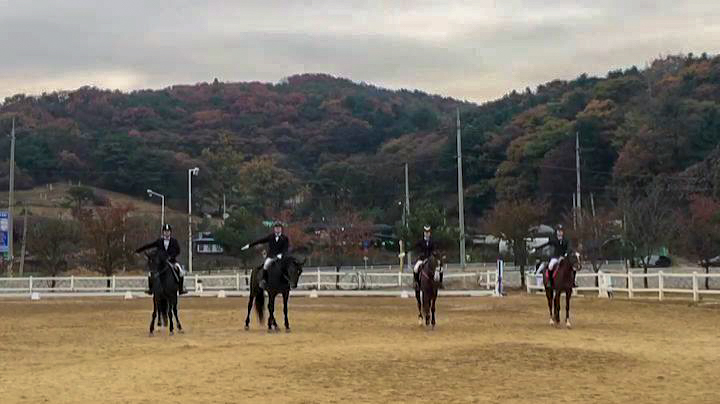 멜버른승마 이미지