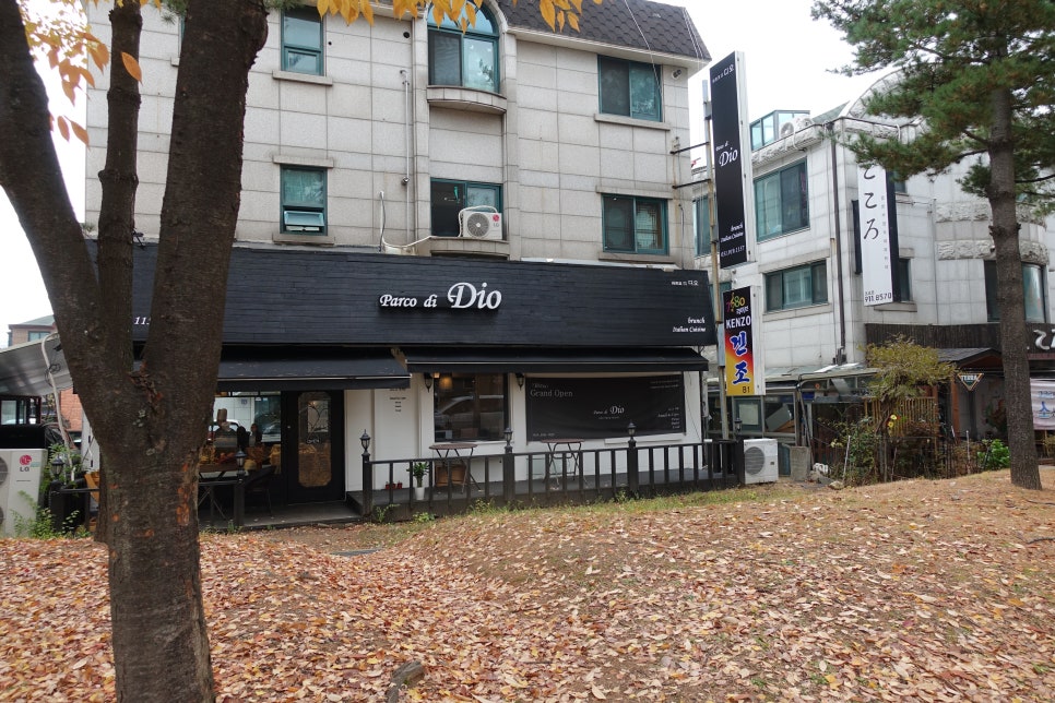 파르코디디오 이미지