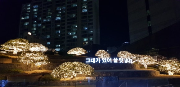 금화장 이미지
