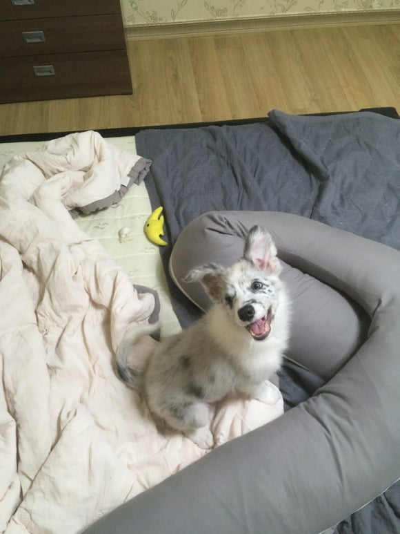 살롱드레오 이미지
