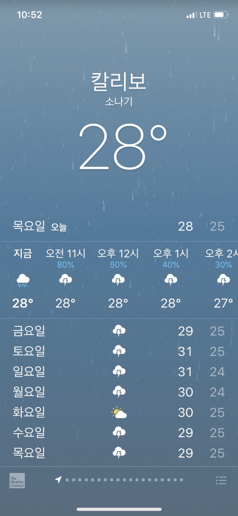 칼리보 이미지
