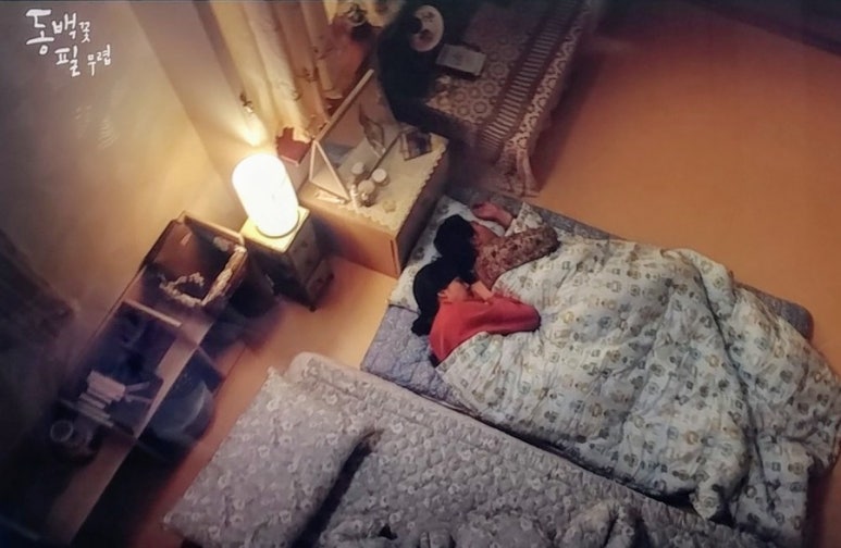 마음껏필무렵 이미지