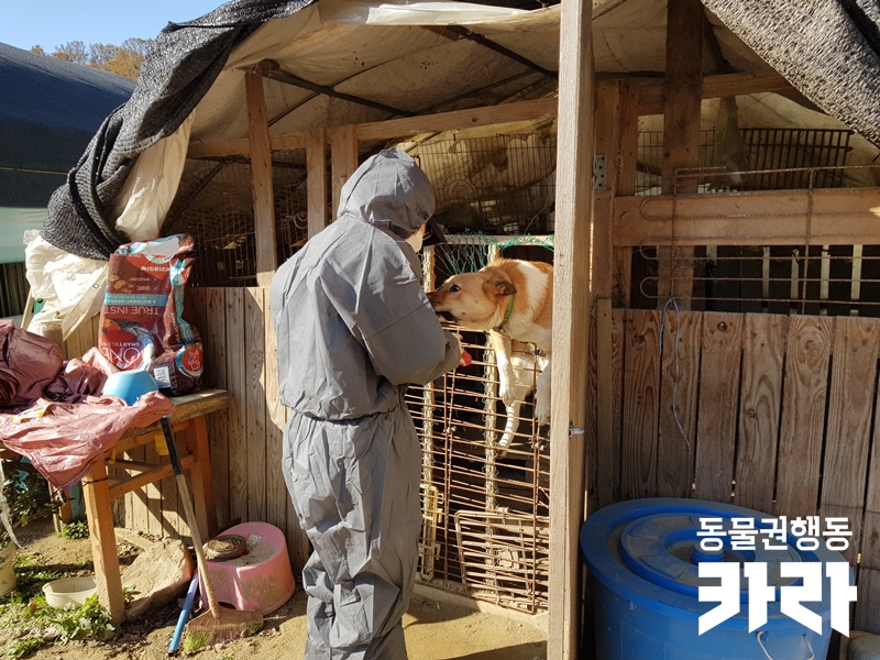 달봉이네 이미지