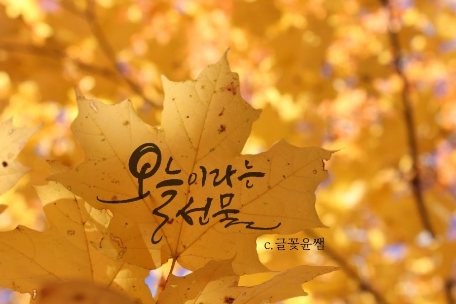 글꽃캘리그라피 이미지