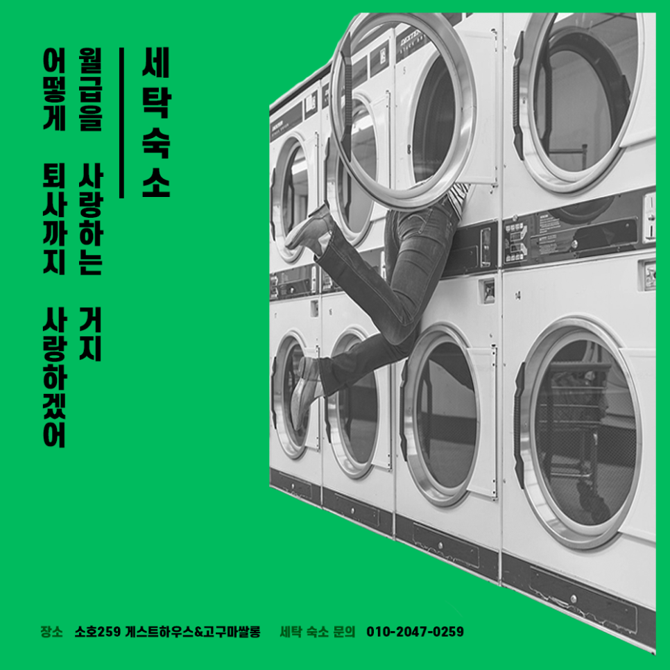 호수세탁 이미지
