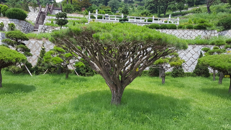 파주수목장 이미지
