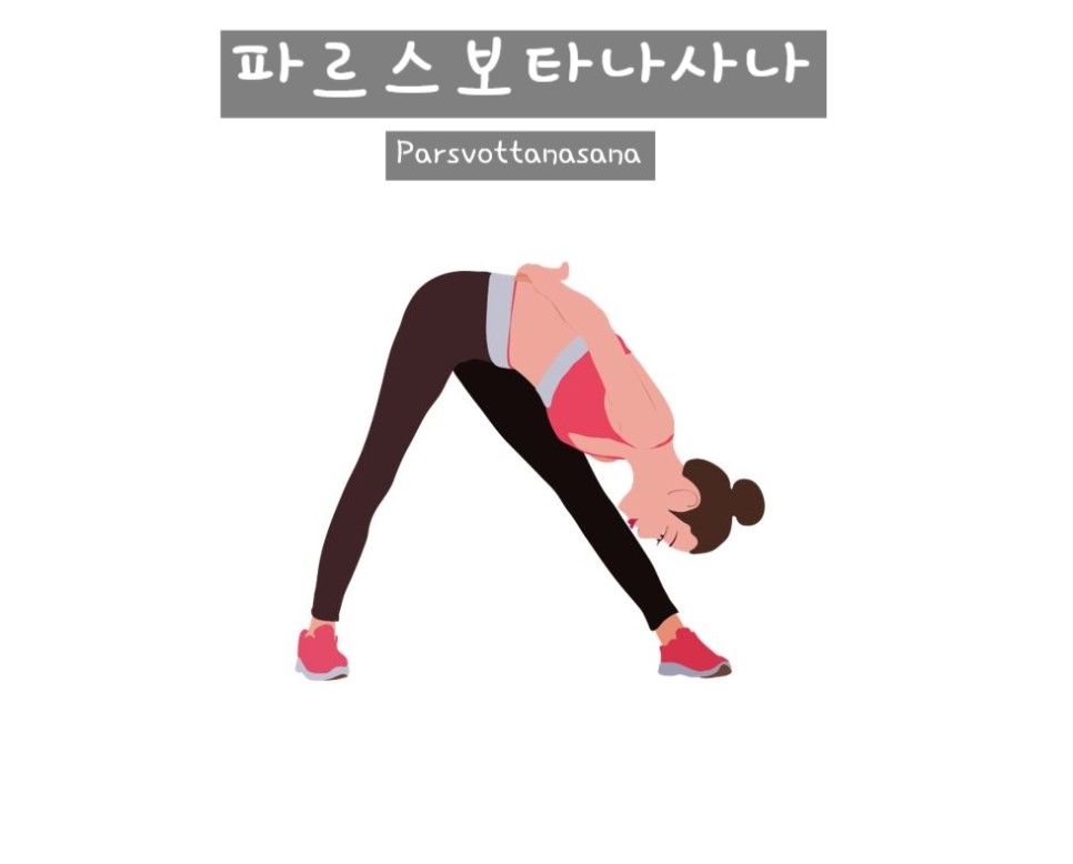 파르스 이미지