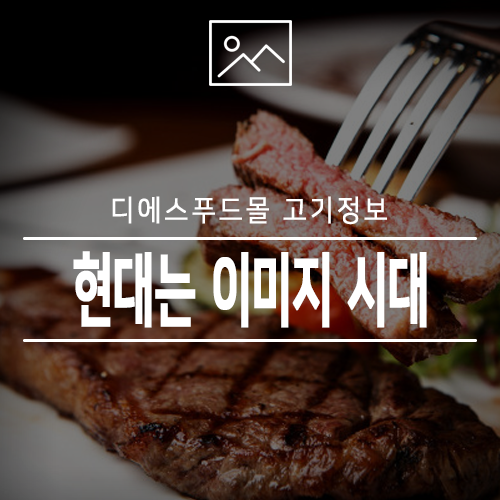 현대디에스 이미지