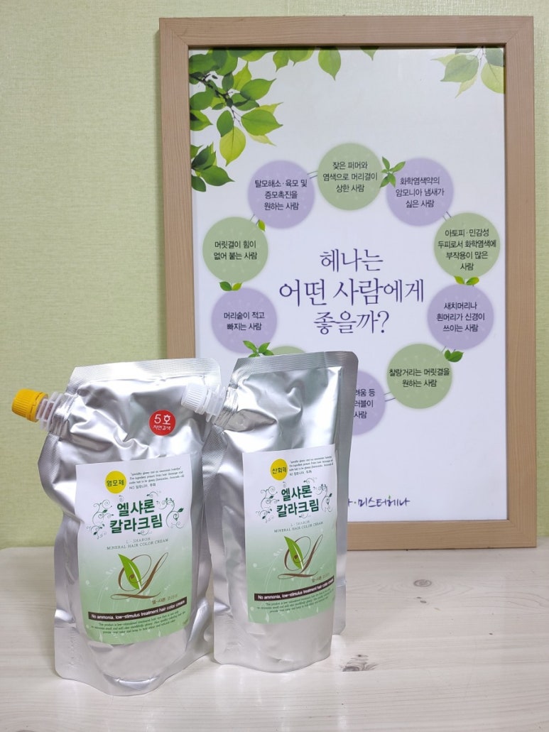 엘샤론 코리아 이미지