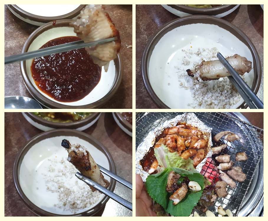 살아있네산곰장어 이미지