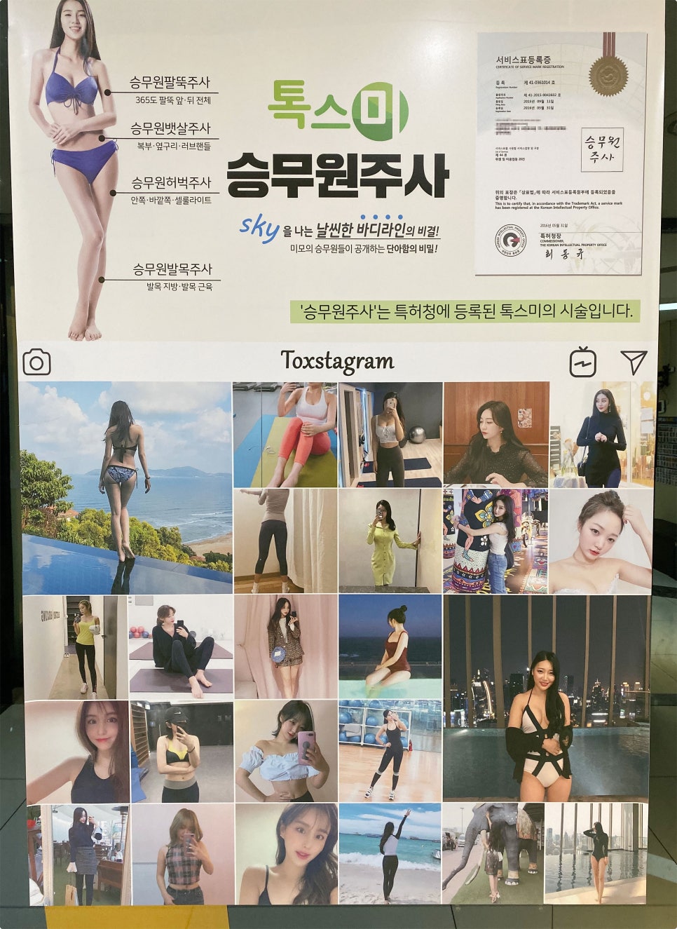 집톡스 이미지