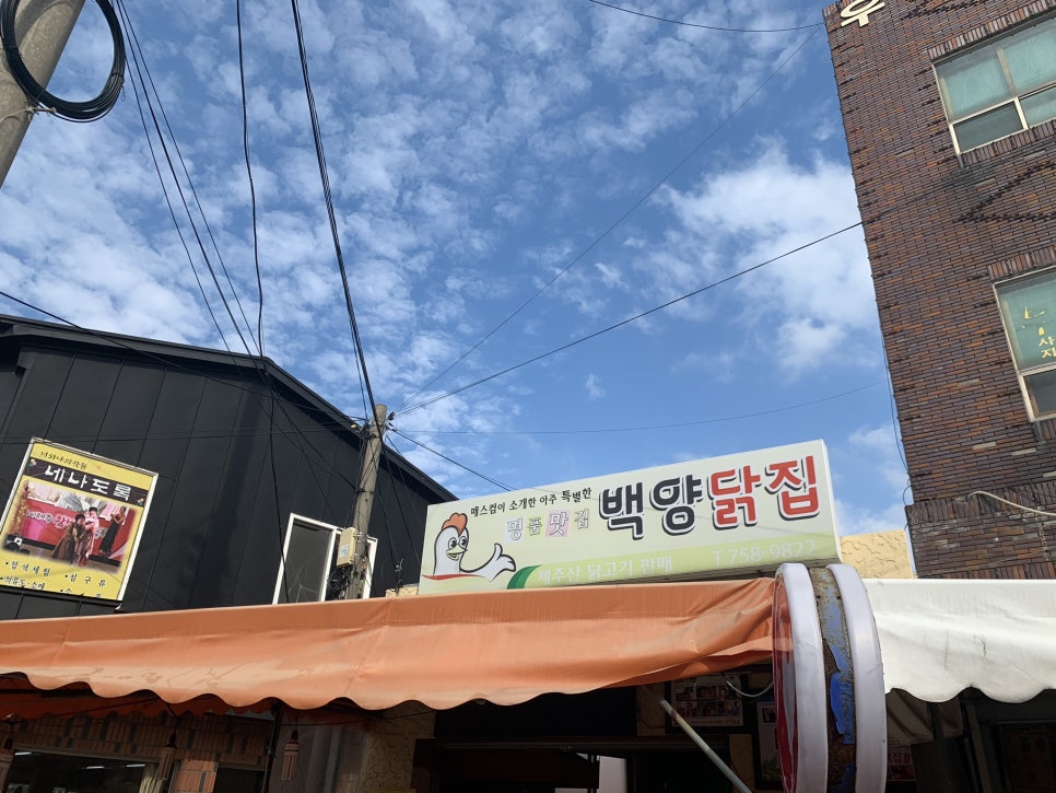 백양닭집 이미지