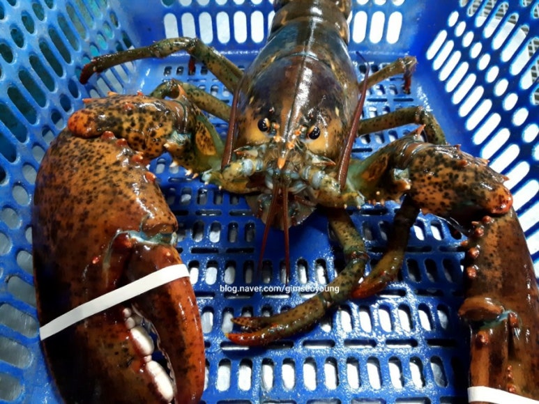 바다마트 이미지