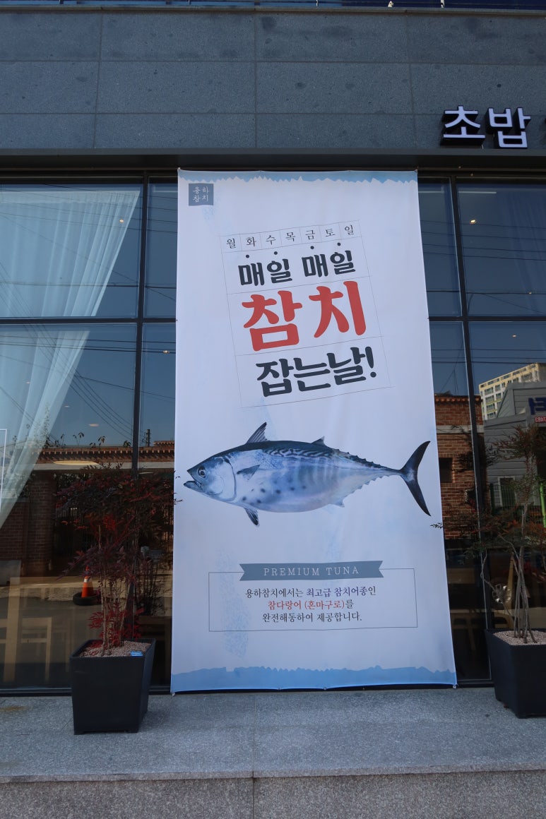 용하초밥참치 이미지