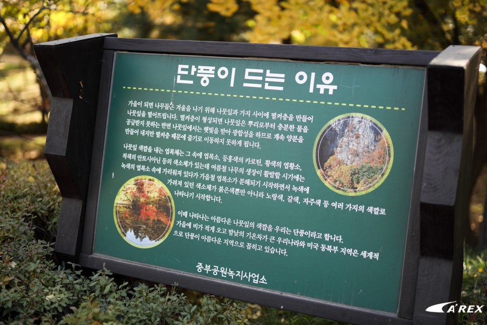 남산꽃화원 이미지