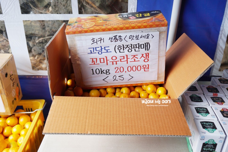 아연네감귤체험농장 이미지