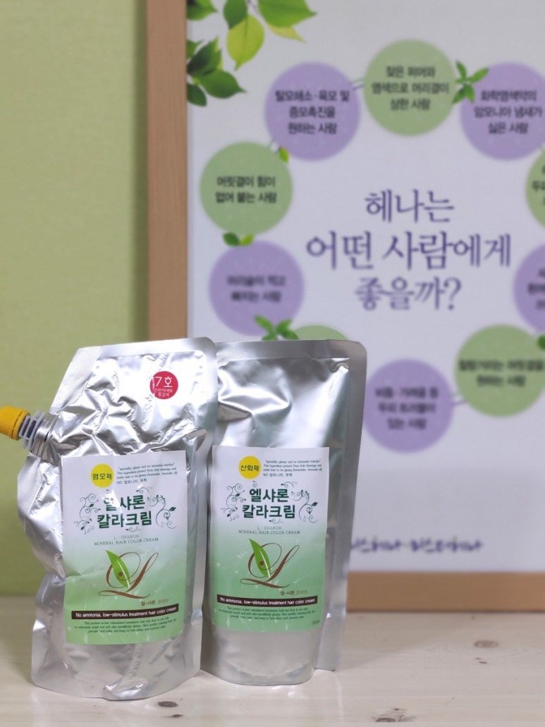 엘샤론 코리아 이미지