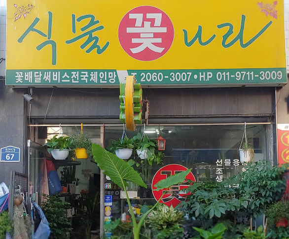 식물꽃나라 이미지