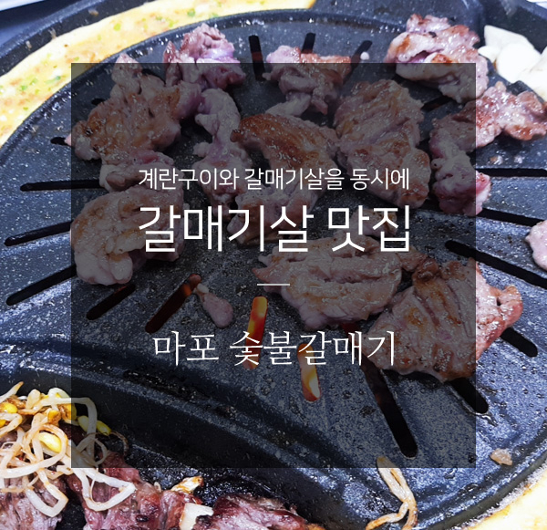 마포숯불갈매기 이미지