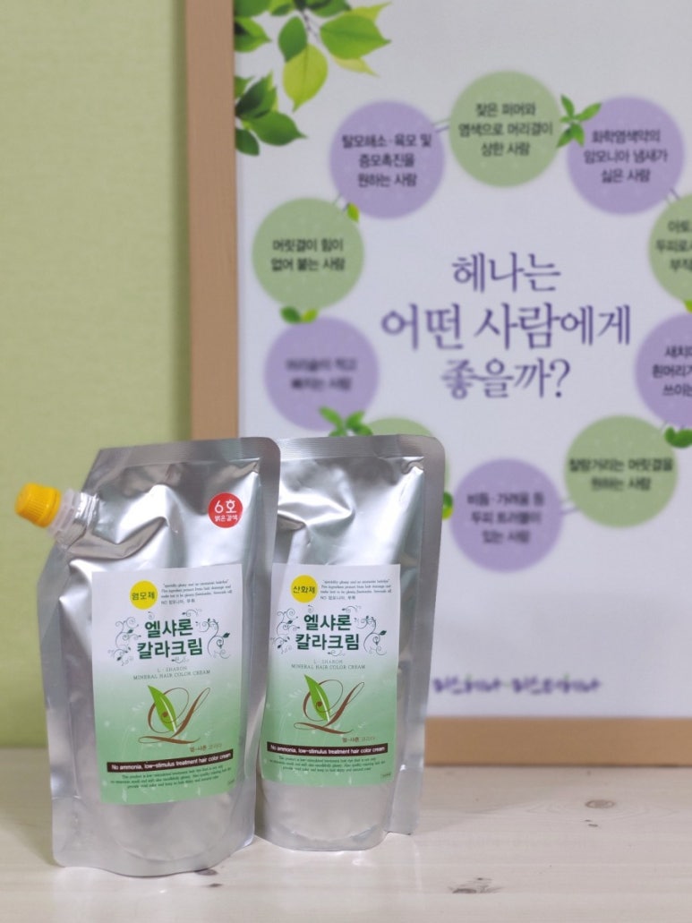 엘샤론 코리아 이미지