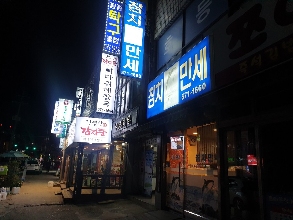 참치만세 이미지