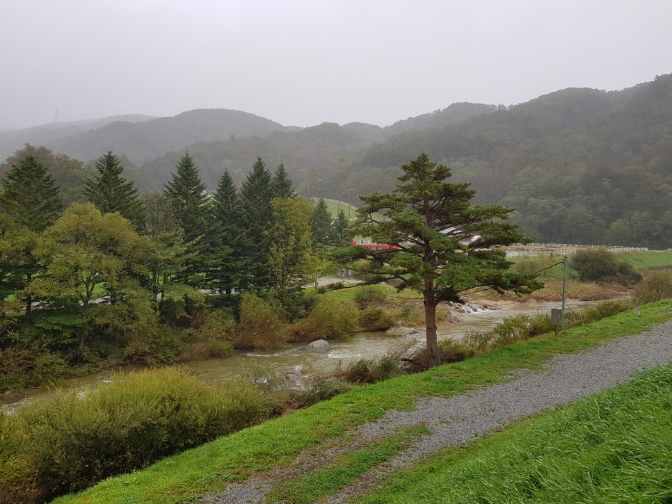중앙복권방 이미지